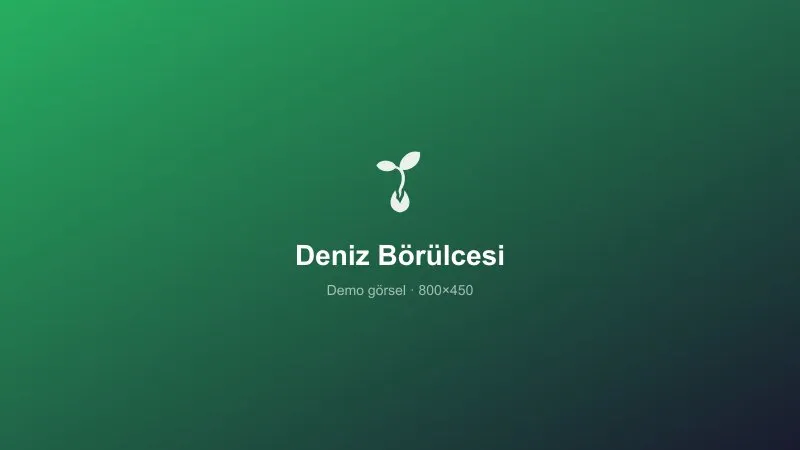 Deniz Börülcesi